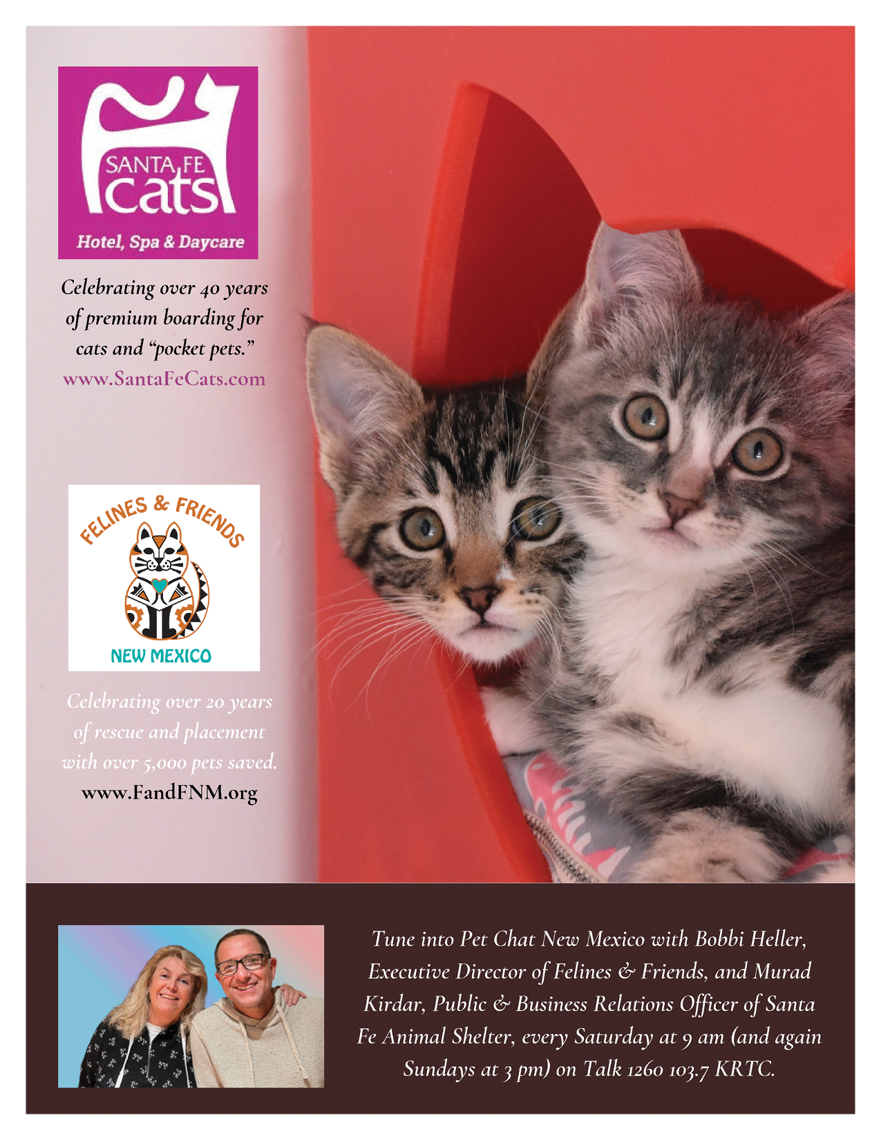Felines and Friends Advertisement